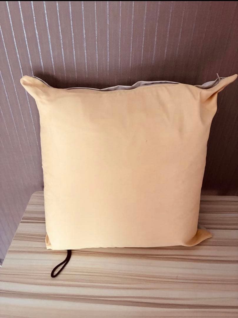 西川　ダウンシュラフ寝袋　羽毛布団150×200 エアピロー付き　未使用