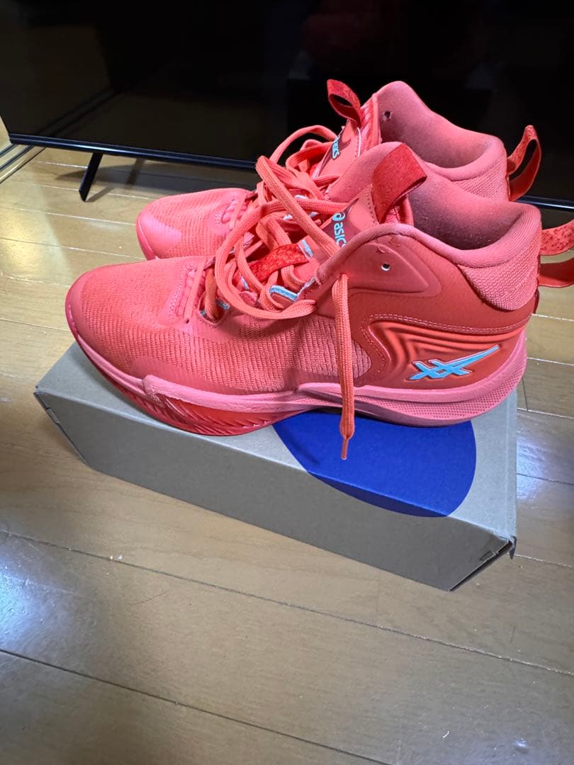 ASICS ノヴァサージ3 2回ほど使用 インソールは未使用