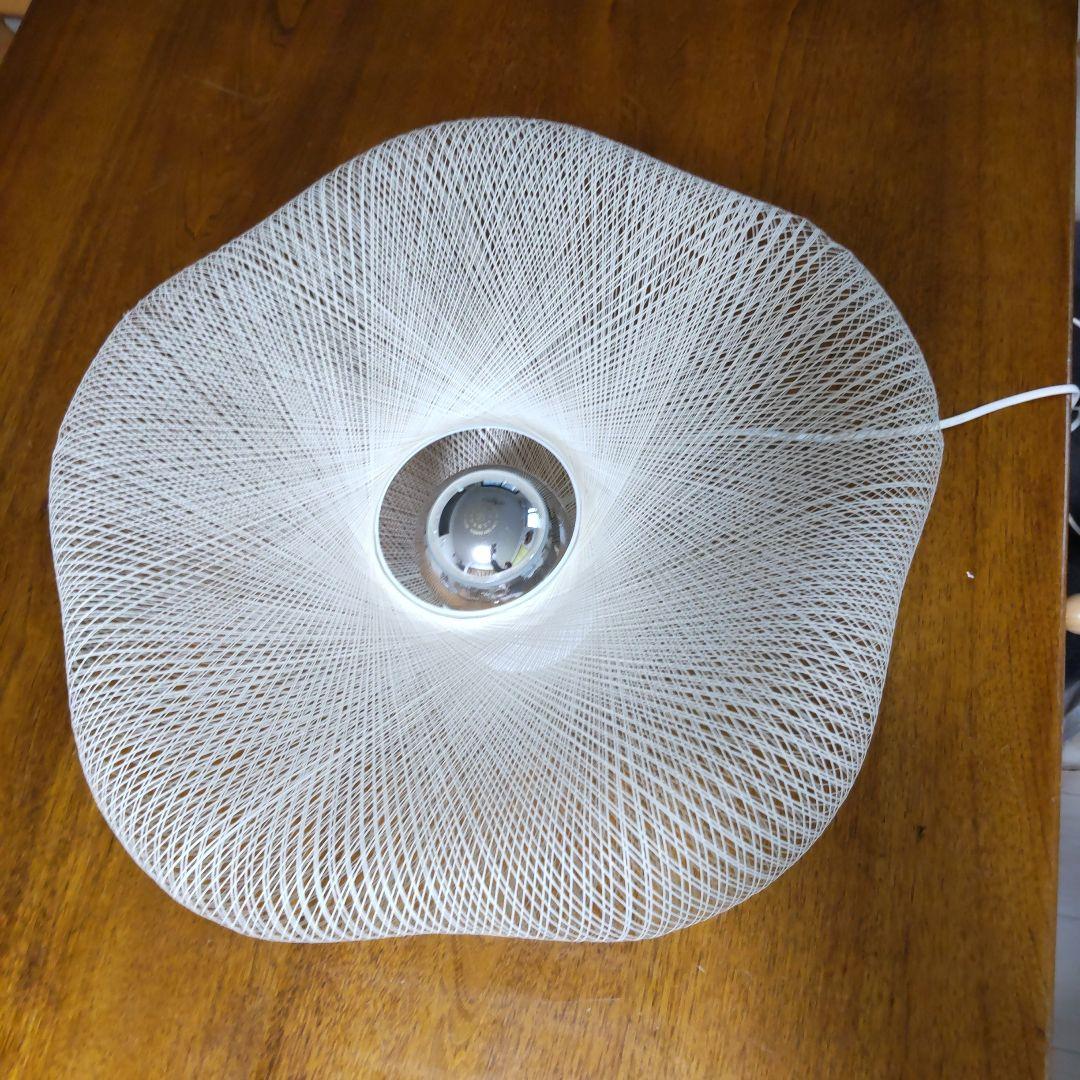 マユハナ　フロアライト