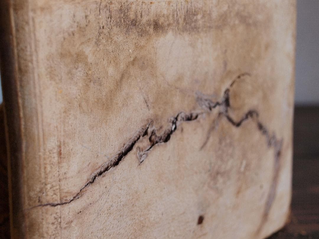 ssx2673___木彫刻 コーベル コンソールウォールシェルフ/K049