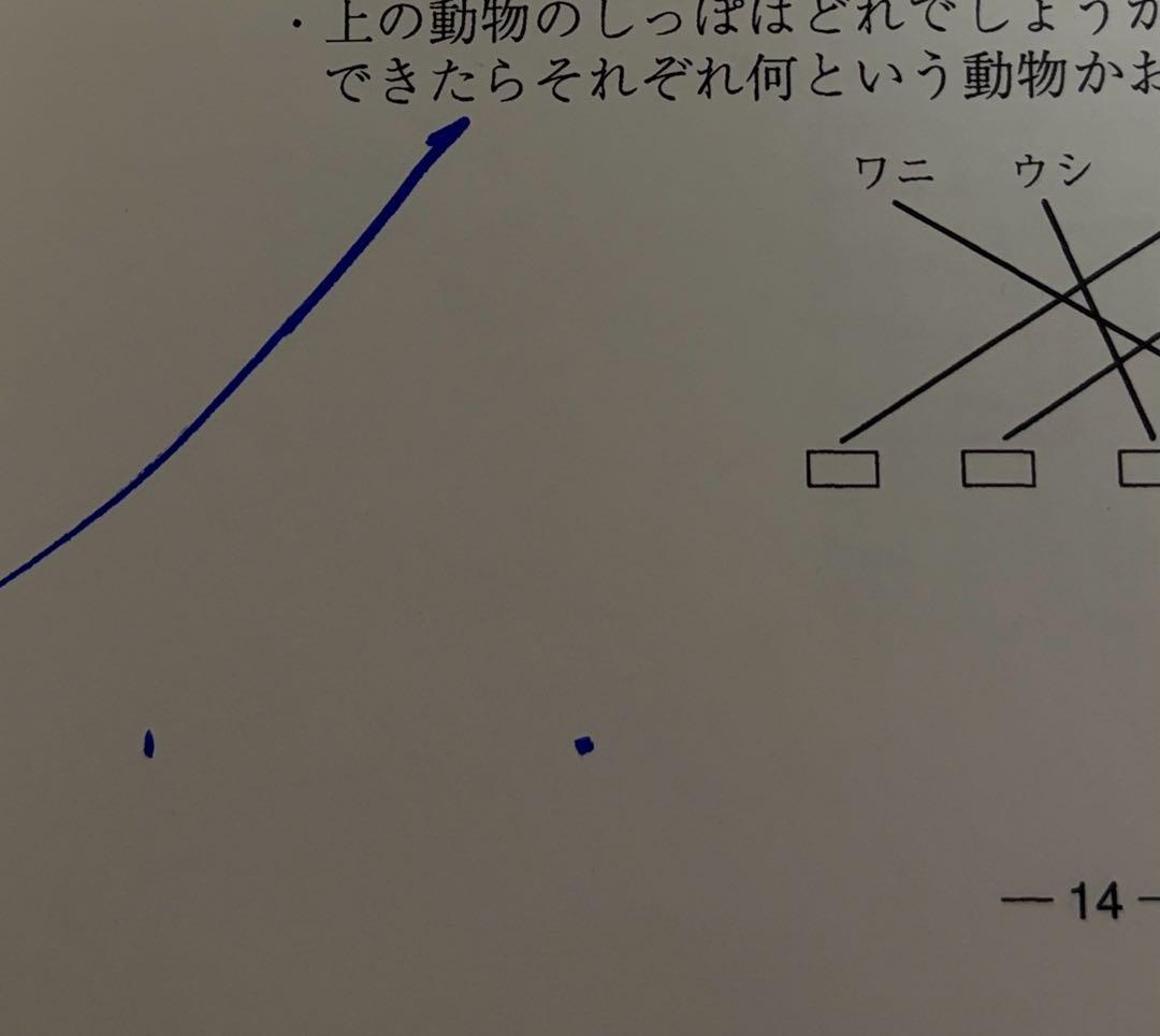 ⭐️ひとりでとっくん３６５日⭐️12巻セット‼️