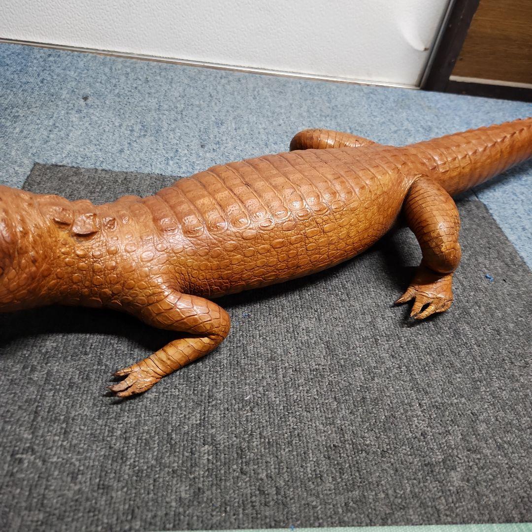 ワニ 剥製？ ブラウン 約1m