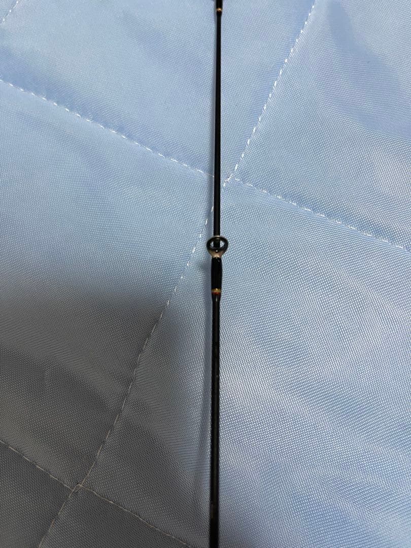 トランスセンデンス　ボティア