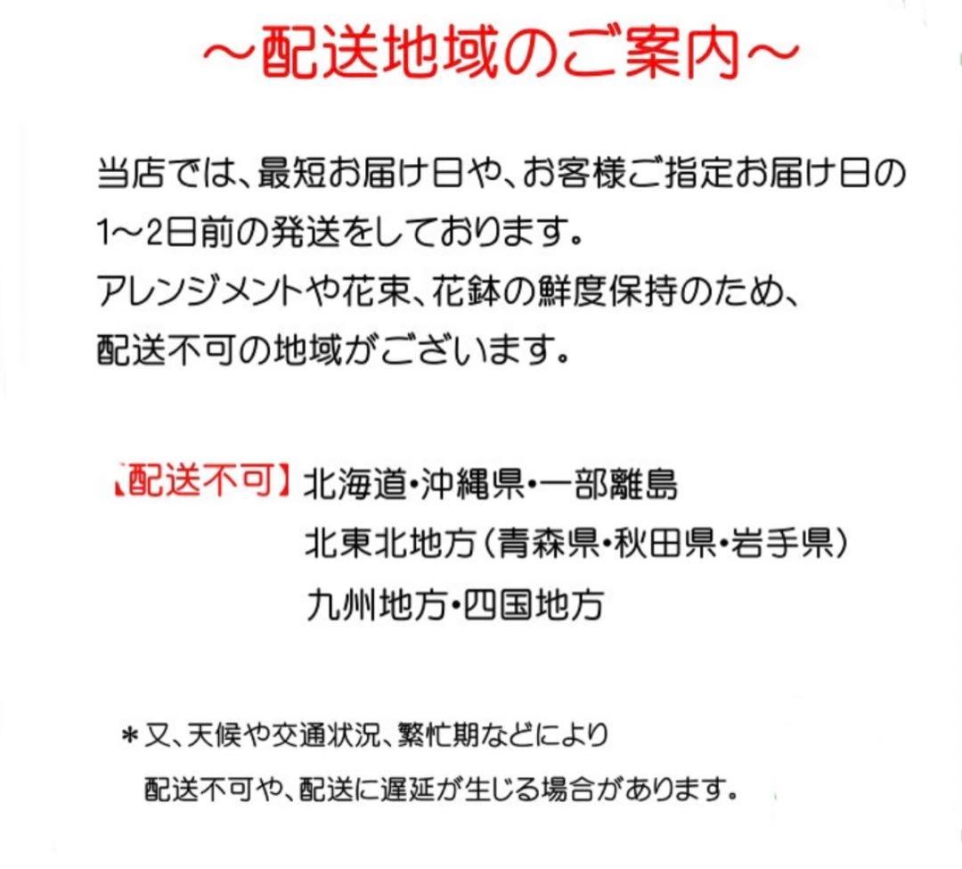 生花ブーケ華やかな花束アレンジメント 520本プロポーズの花束