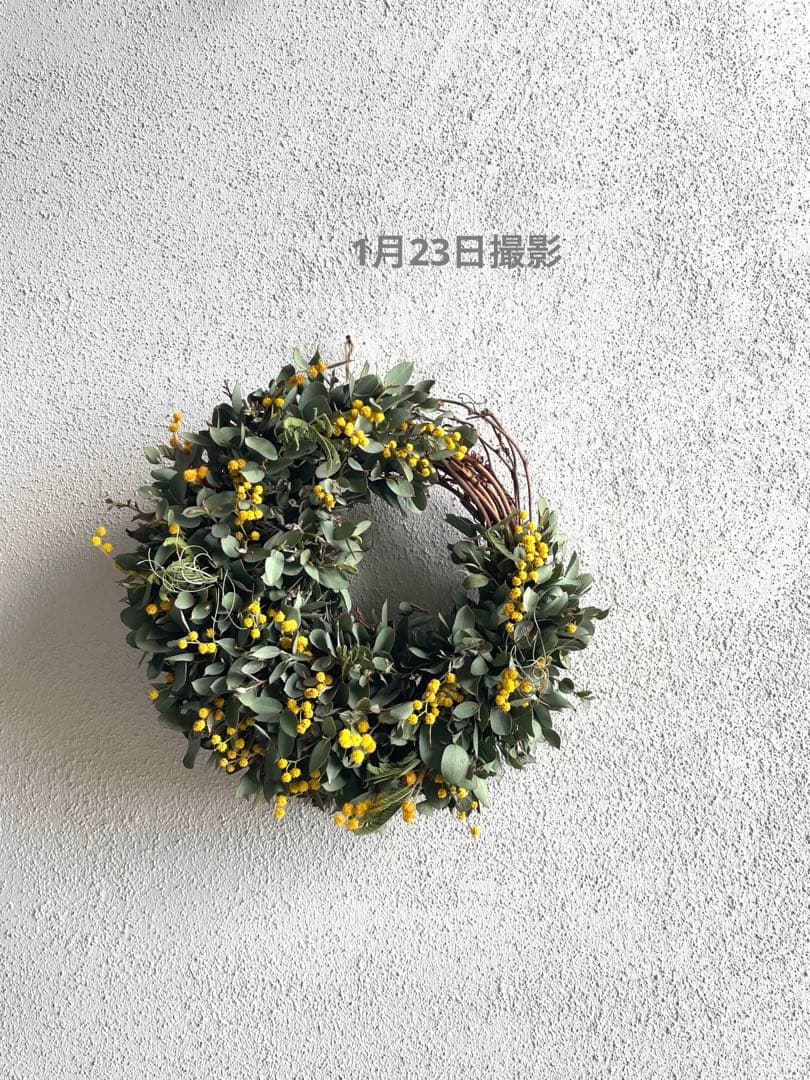 ユーカリとミモザの三日月リース