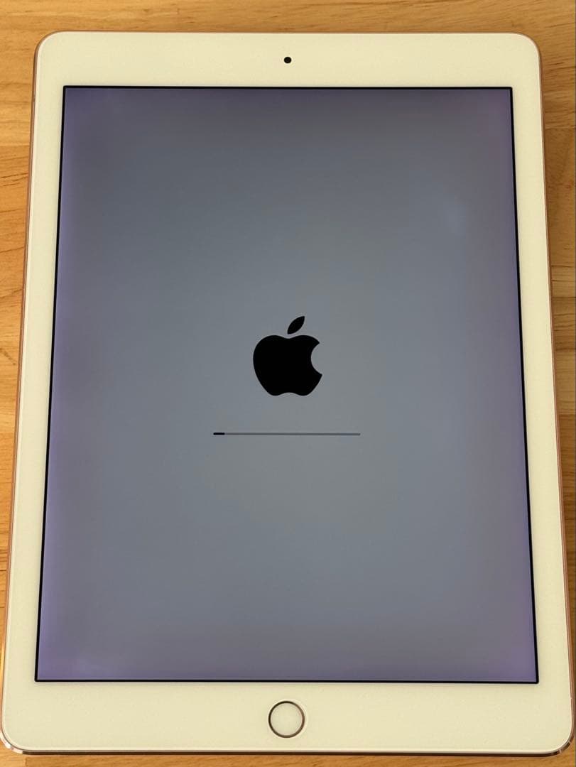 iPad Pro 9.7インチ 256G