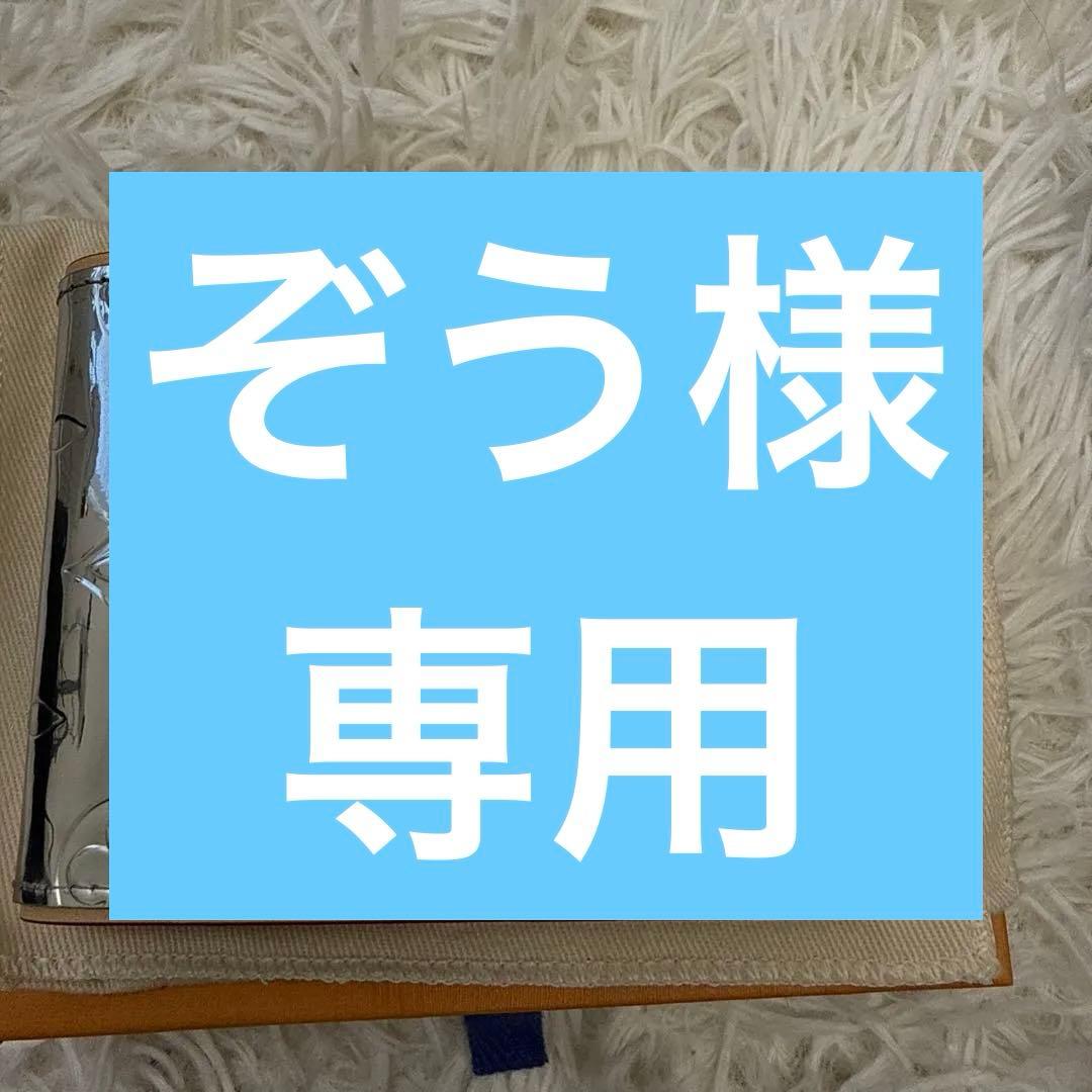 LOUIS VUITTON ミラーラインAW2021限定 二つ折り財布 シルバー