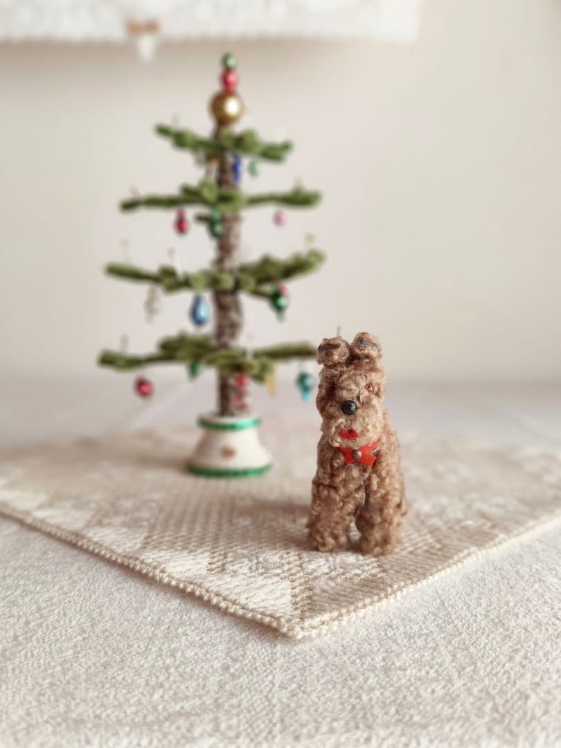 * vintage dog ❀ クルクル巻き毛がキュートな ワンちゃん