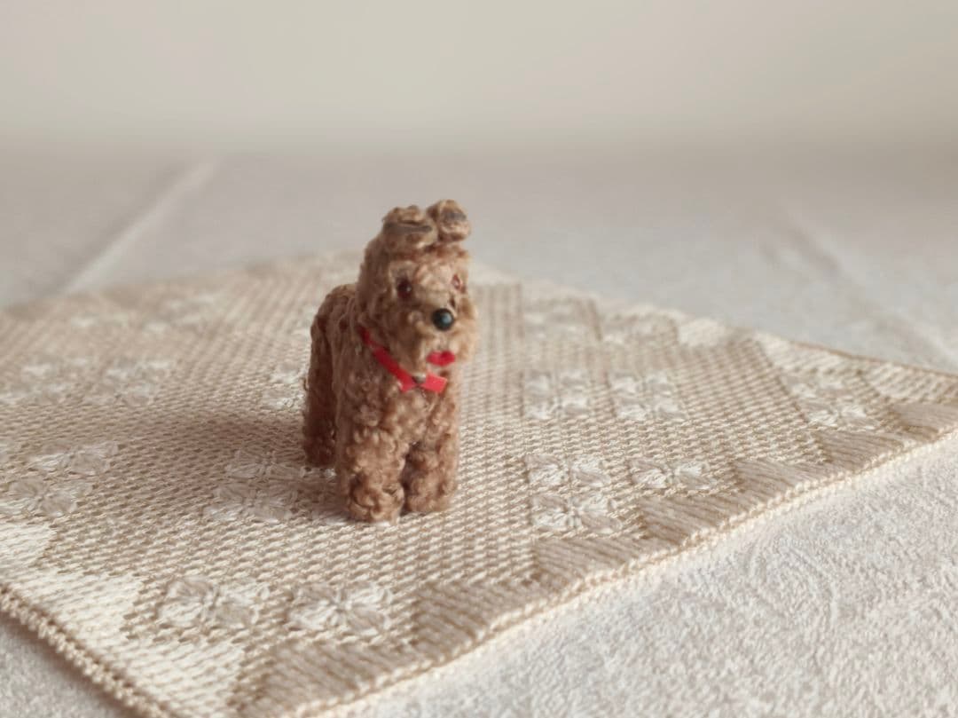 * vintage dog ❀ クルクル巻き毛がキュートな ワンちゃん