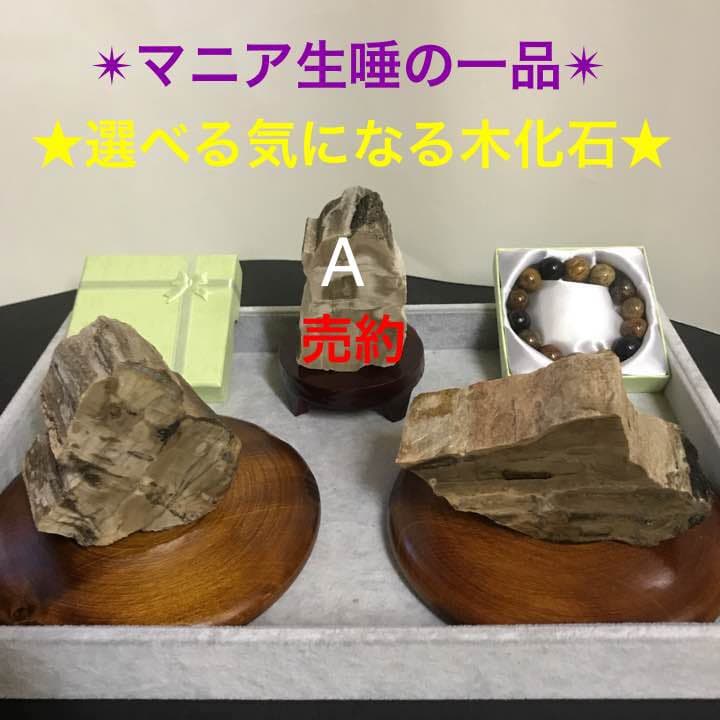 ★特選オンリー１品石★木の化石☆【ペトリファイドウッド珪化木✴︎原石】♡