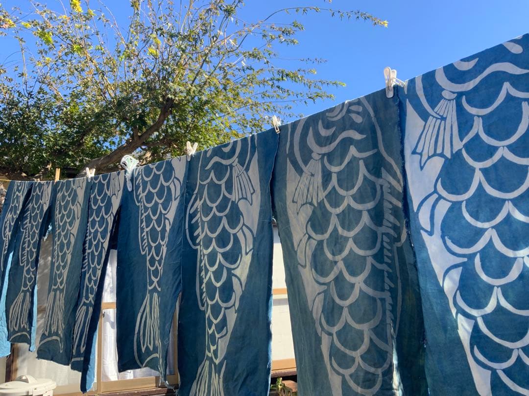 2026 正藍染　鯉のぼり　大単体　名入れあり