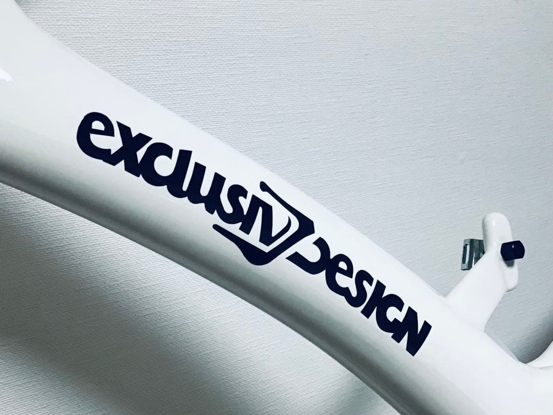 90年代 ドイツ製 Xtrem トラックレーサー カーボンモノコックフレーム 白