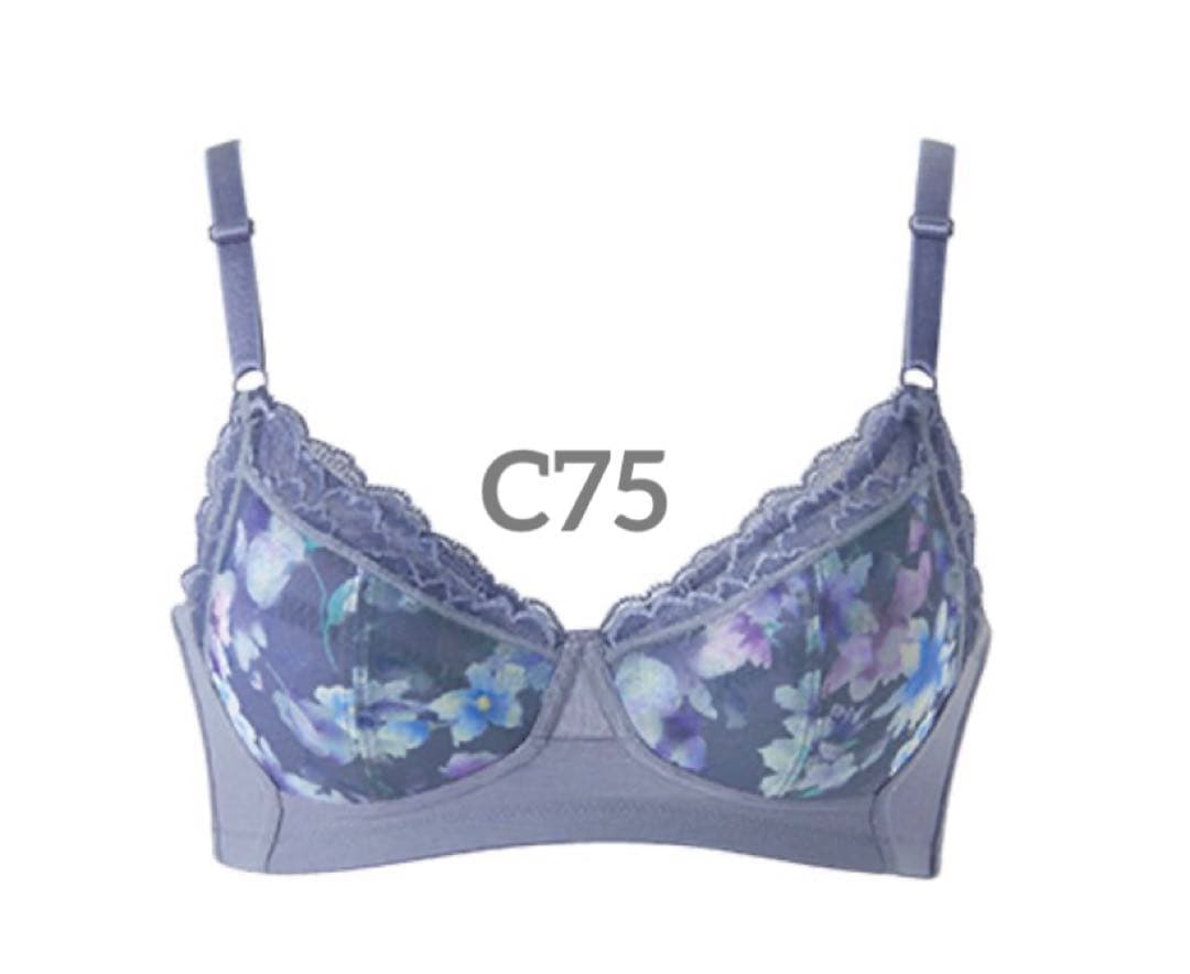 【数量限定1品限り】シャルレ＊ミライ＊バイオレット＊C75＆ショーツM