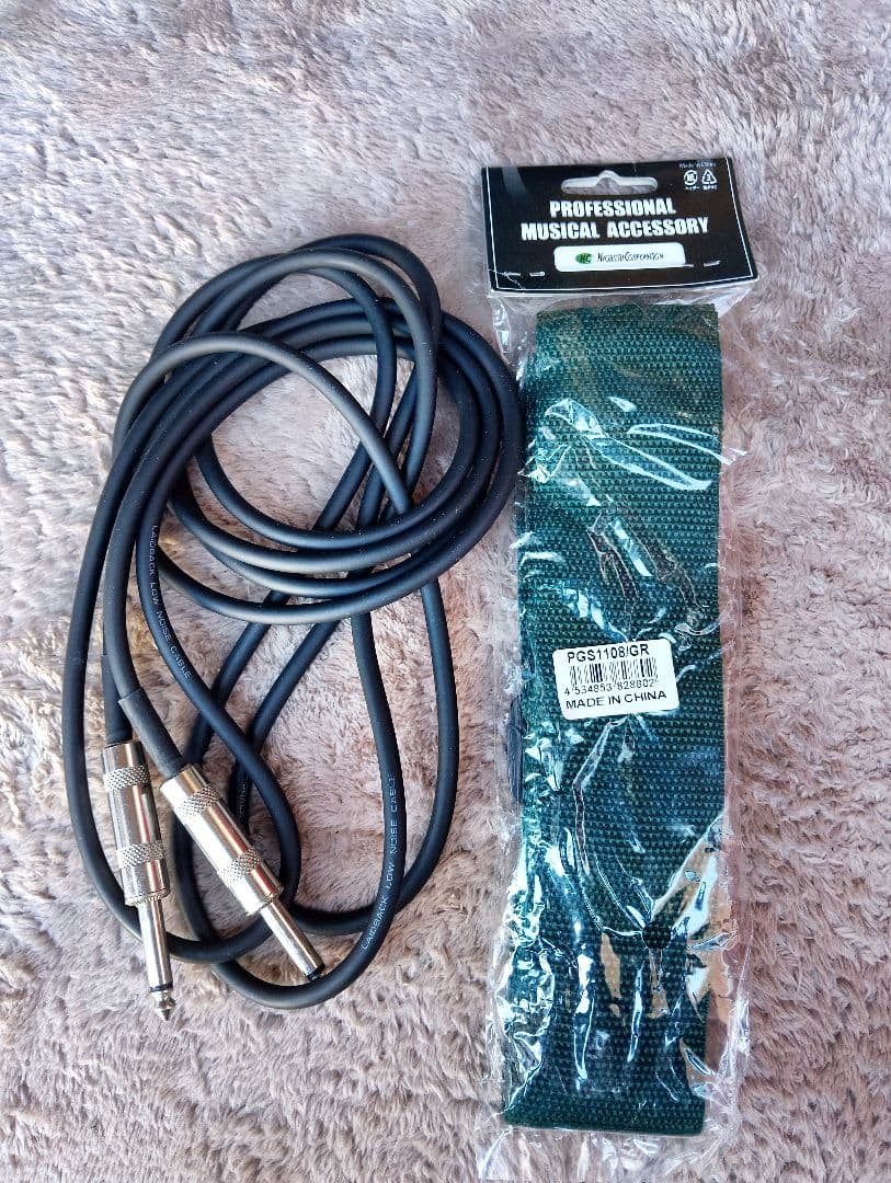 【美品】Bucchus　UNIVERSE　BST-1R SW　エレキギター