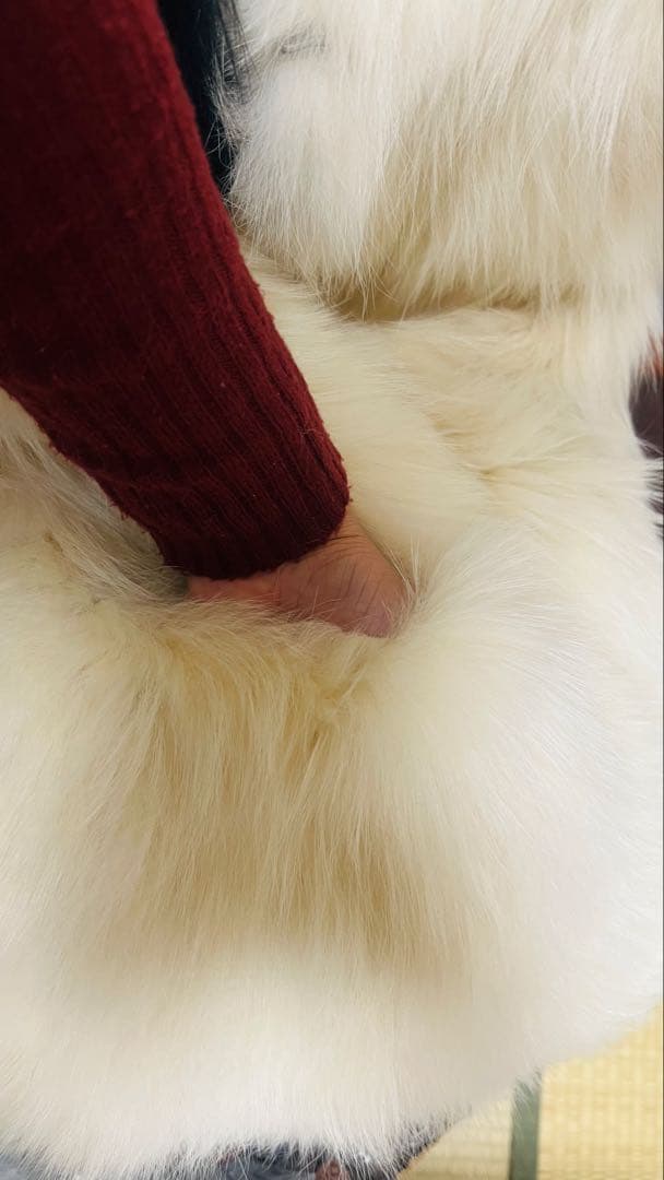 LANVIN アイボリー ファーストールポンチョスカーフ SALE‼️1-15まで