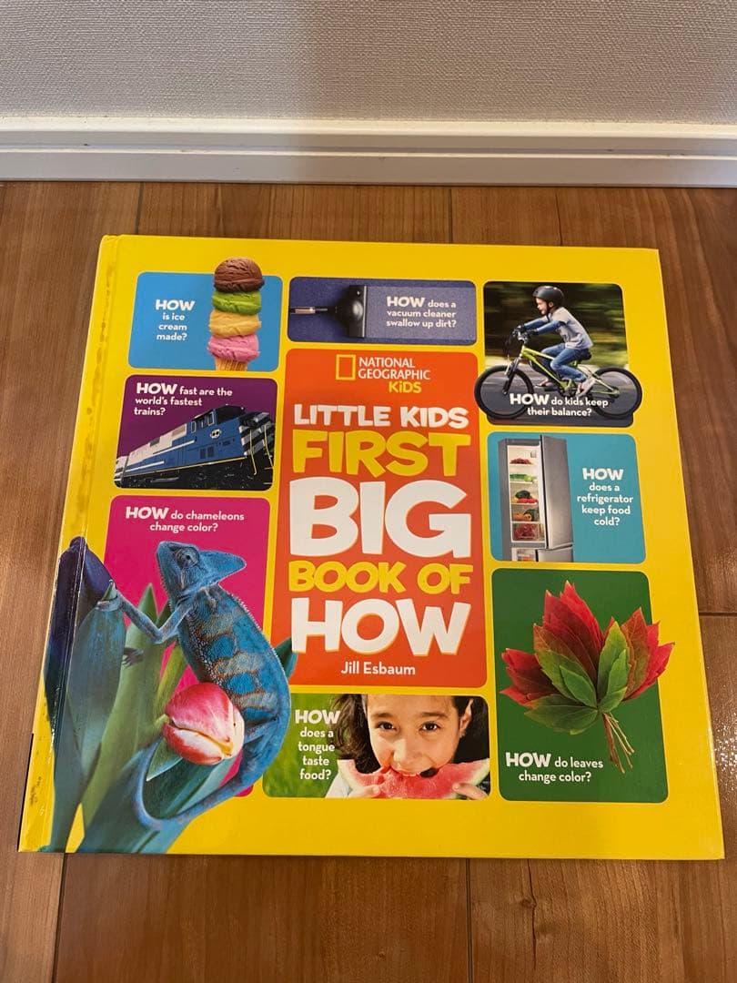 専用　Little Kids' First Big Book of など7冊