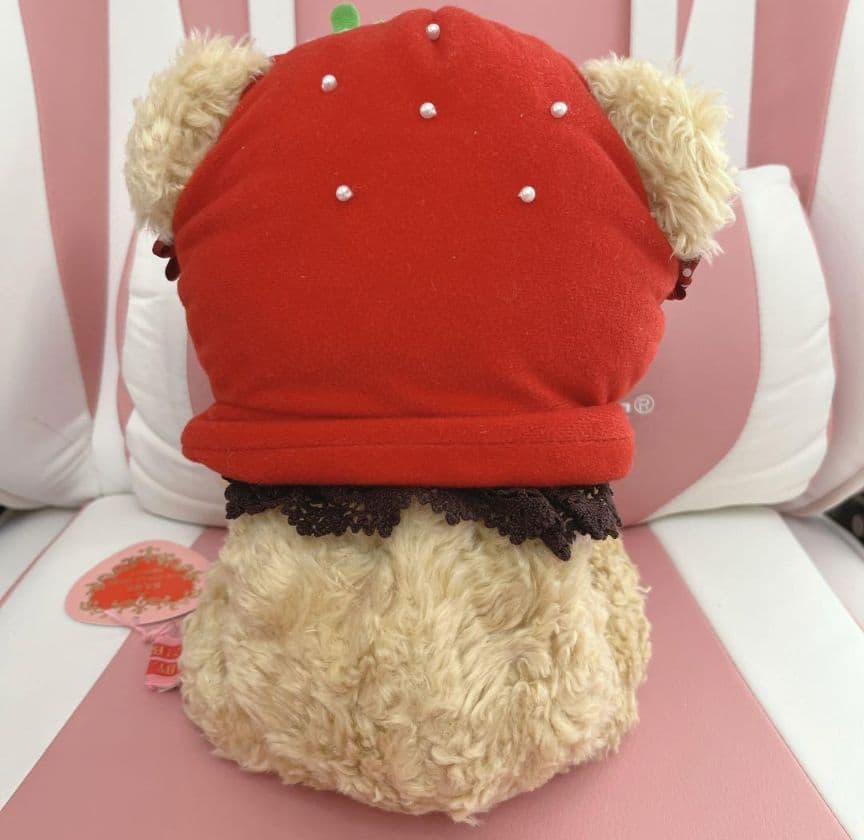 いちごになりたいくまくみゃちゃん/新品