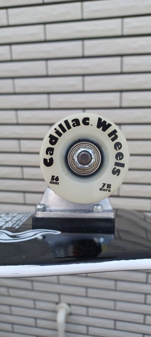  Hawaiian スケートボード　　dogtown コンプリート