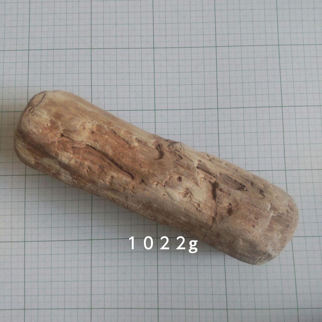 BM、珪化木セット