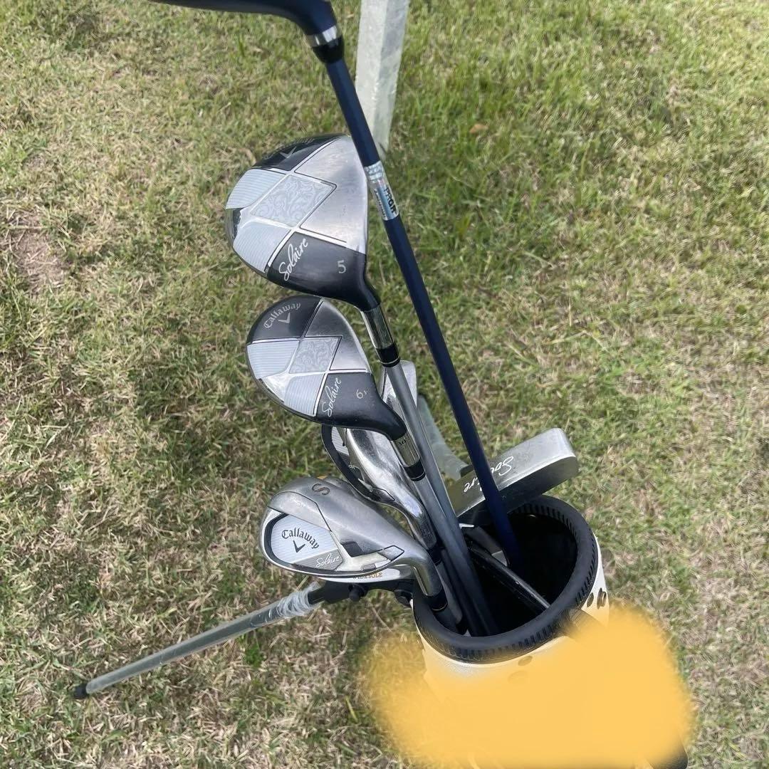 新品★ 茶色 ★ セルフスタンドクラブケース