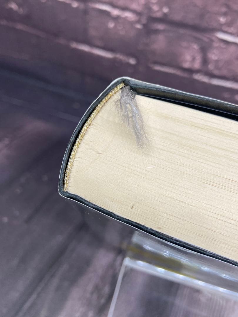 ポケモン・ストーリー　畠山けんじ　久保雅一