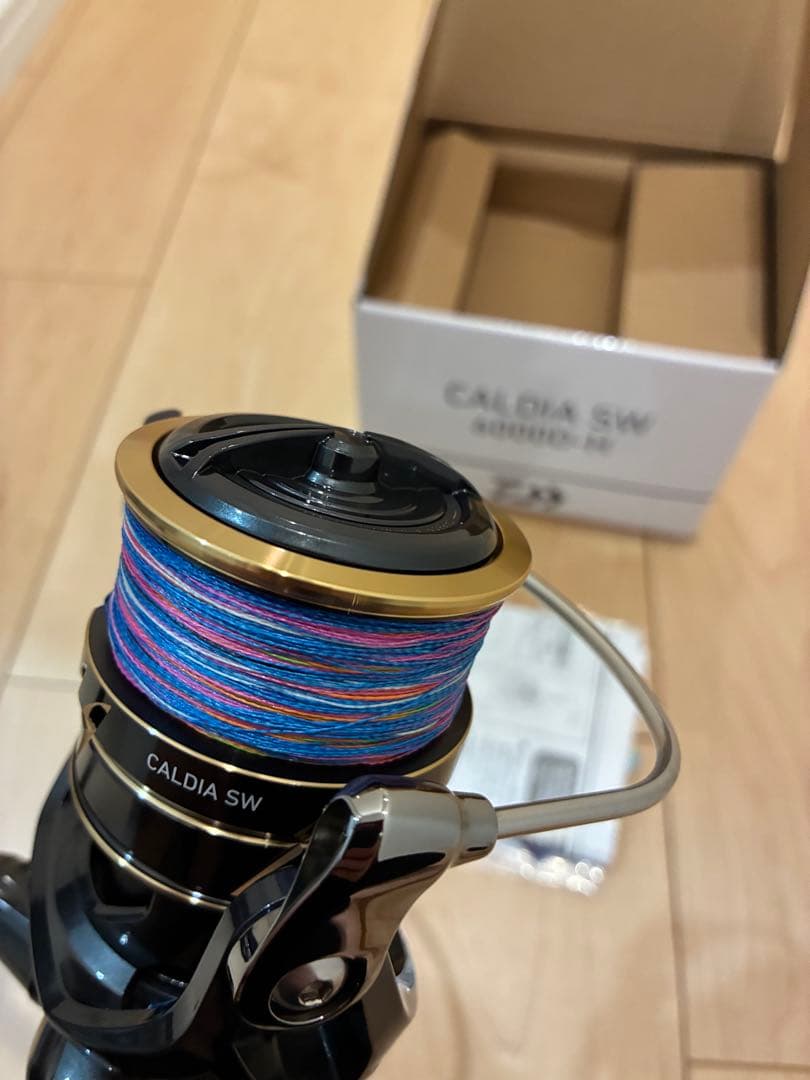 22カルディアsw 6000D-H