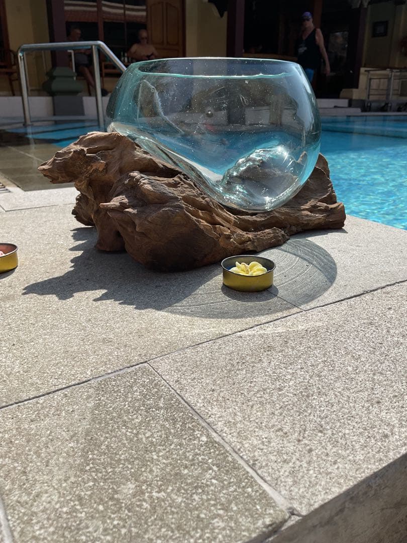 【新入荷】フィッシュボール(天然木ガラス水槽)カメ似