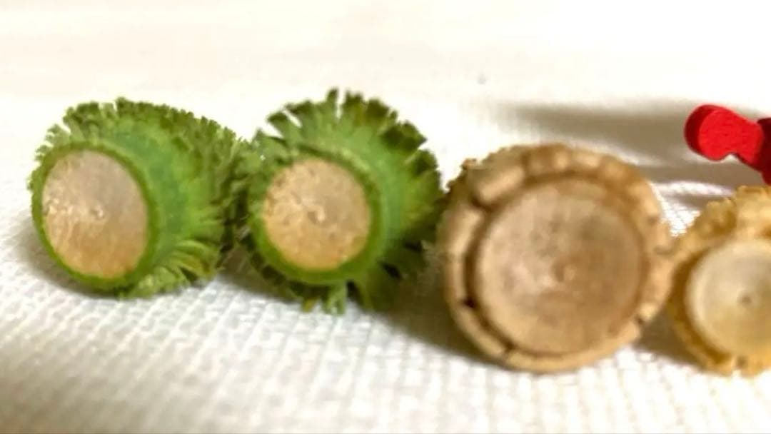 ドイツ製　エルツ　シュパンバーム　ミニチュア　木製　工芸品　クリスマス