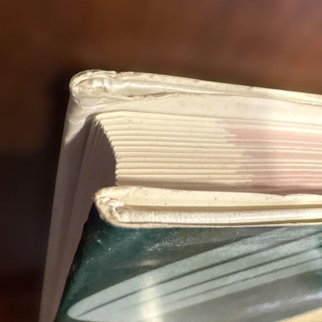 図説泌尿器科手術書