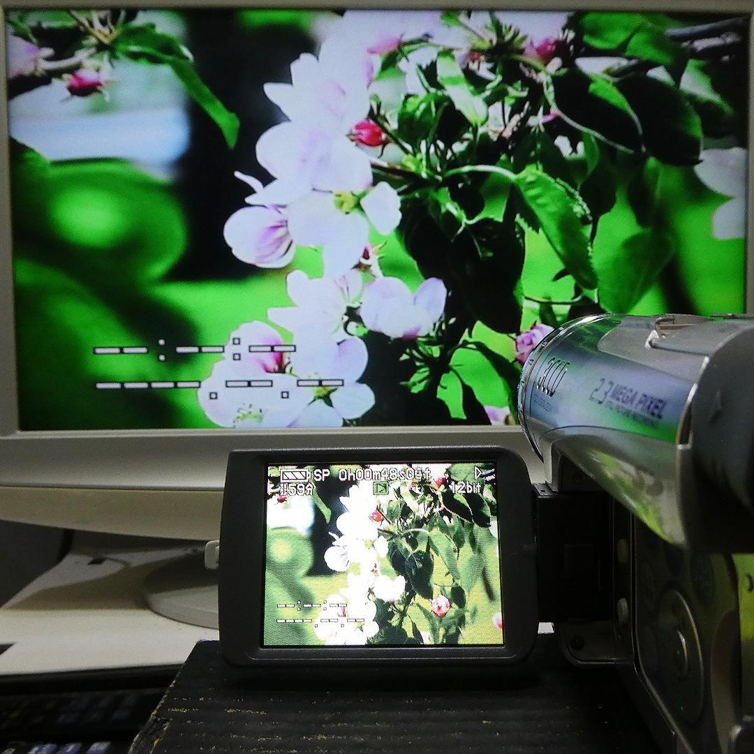 動作良好 パナソニック NV-GS200 MiniDVビデオDVDダビングに最適