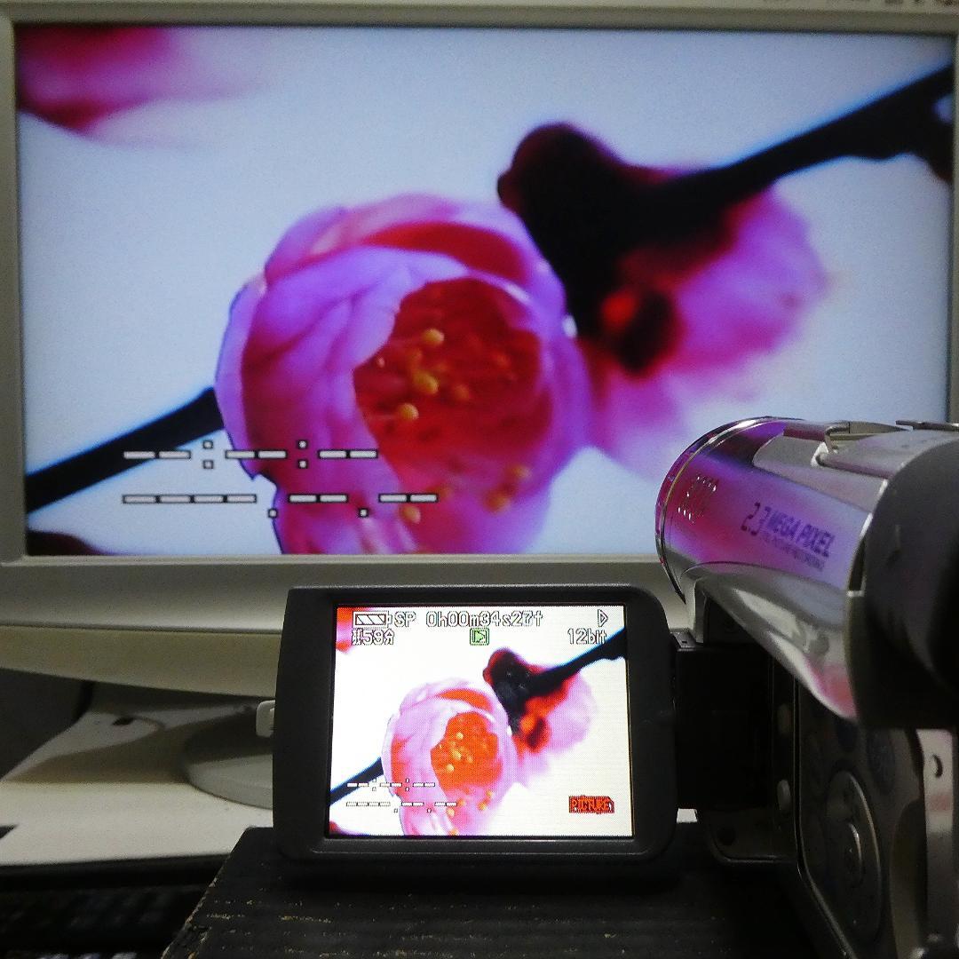 動作良好 パナソニック NV-GS200 MiniDVビデオDVDダビングに最適