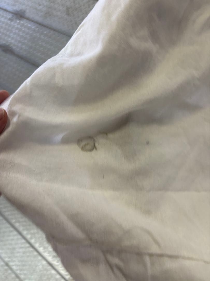 シカデザイン　フォックス　ラウンジチェア