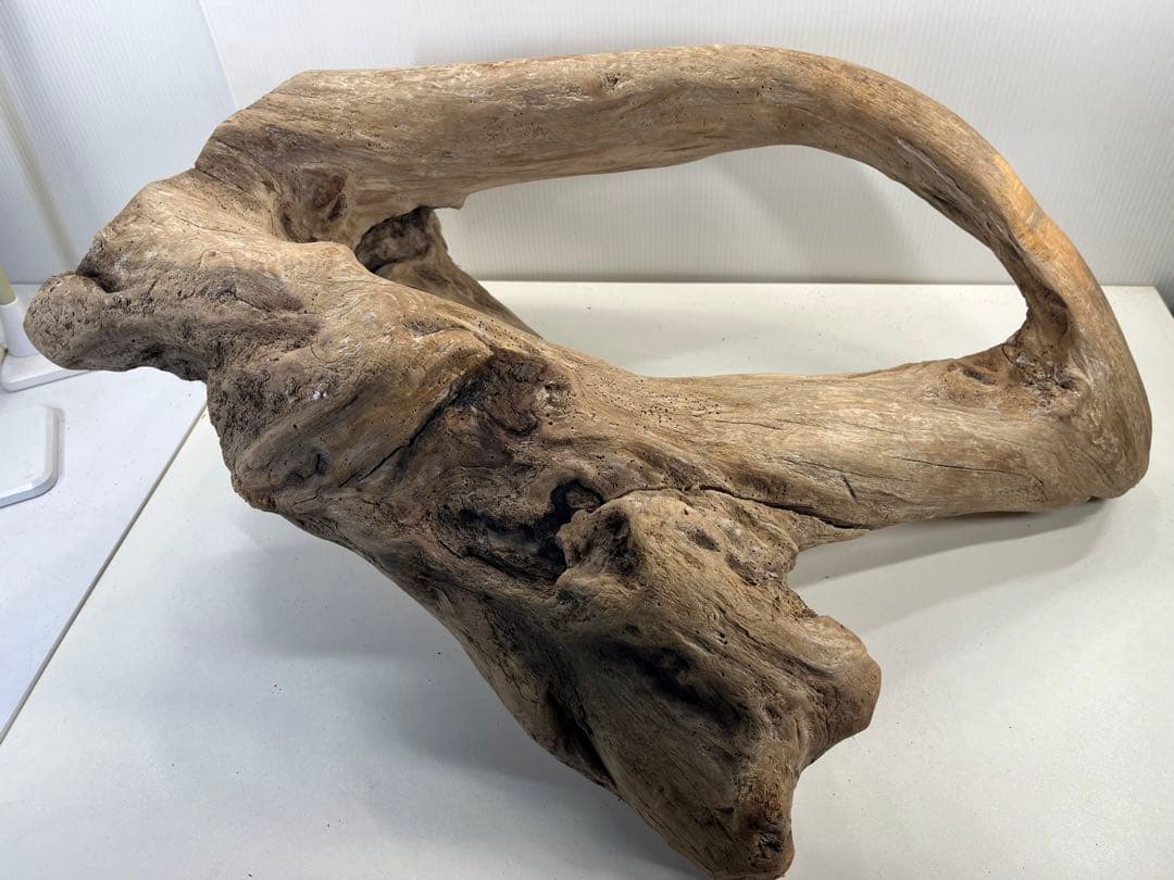 m10特大流木 アク抜き済み 爬虫類シェルター 登り木 インテリア オブジェ