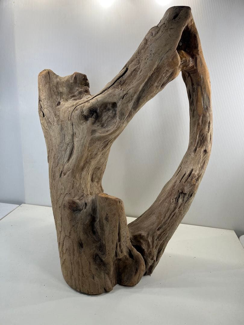 m10特大流木 アク抜き済み 爬虫類シェルター 登り木 インテリア オブジェ