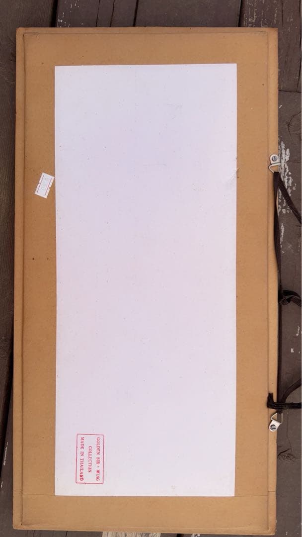 蝶の標本コレクション（フレーム付き）