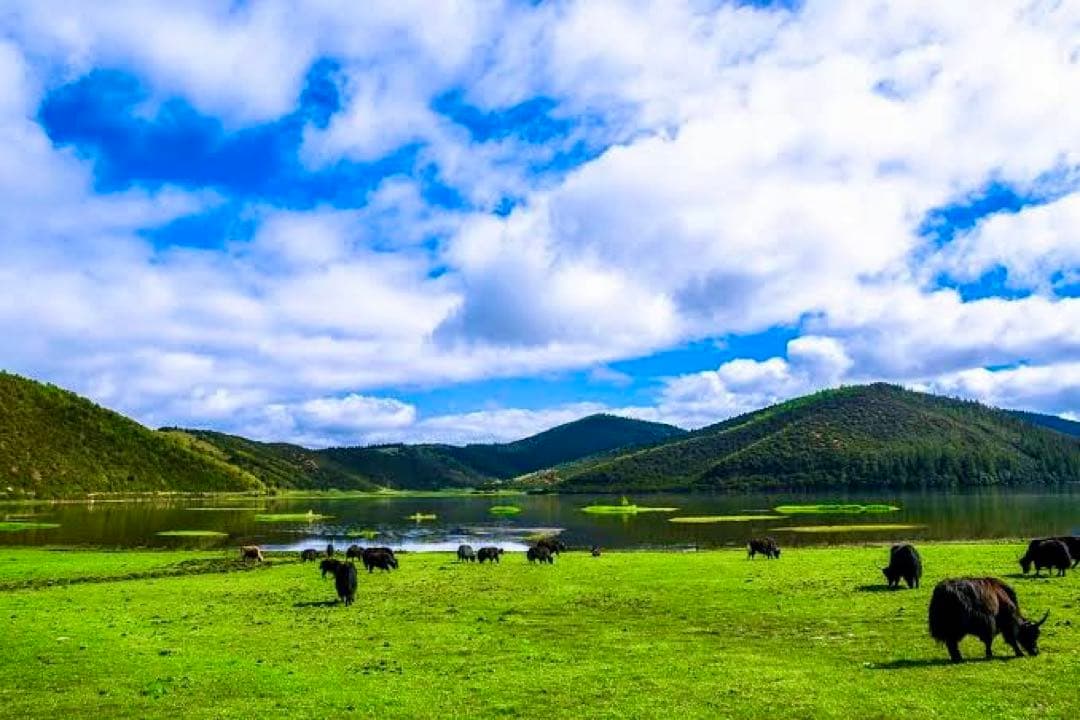 ゆかりん様　神の秘境から舞い降りし破邪最強の守護石　幻のシャングリラ産モリオン