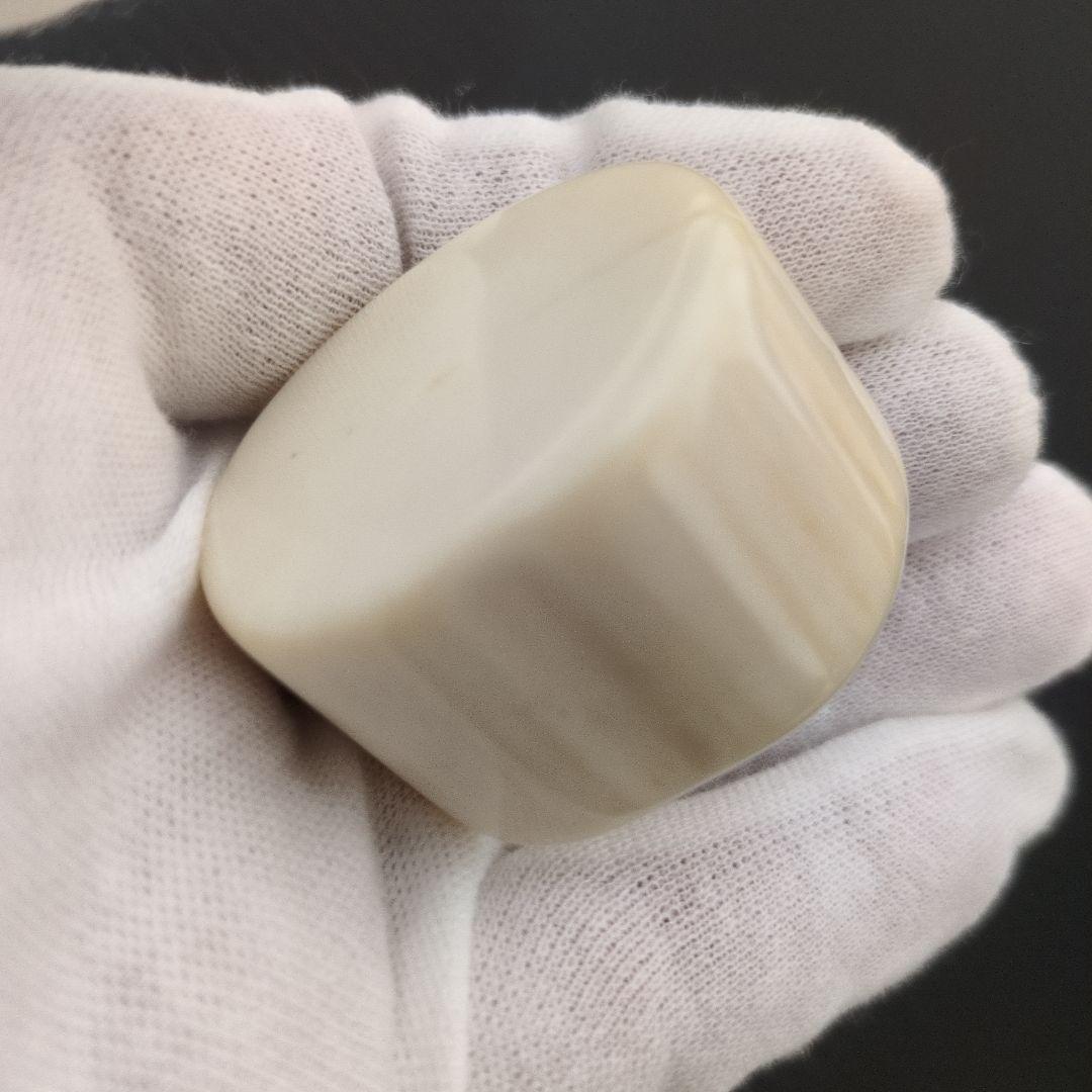 ウニコール　牙　角　輪切り　イッカク鯨歯