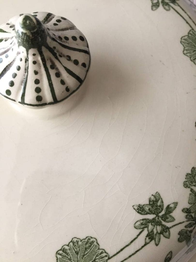 フランス☆サルグミンヌ ゼラニウム レギュミエ スーピエール