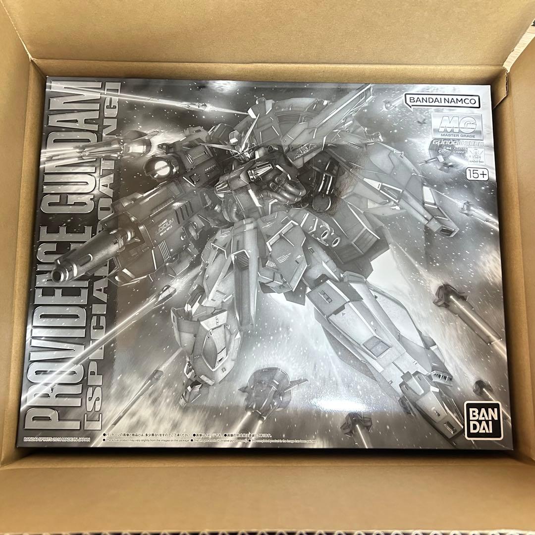 ロー　MG 1/100 プロヴィデンスガンダム スペシャルコーティ