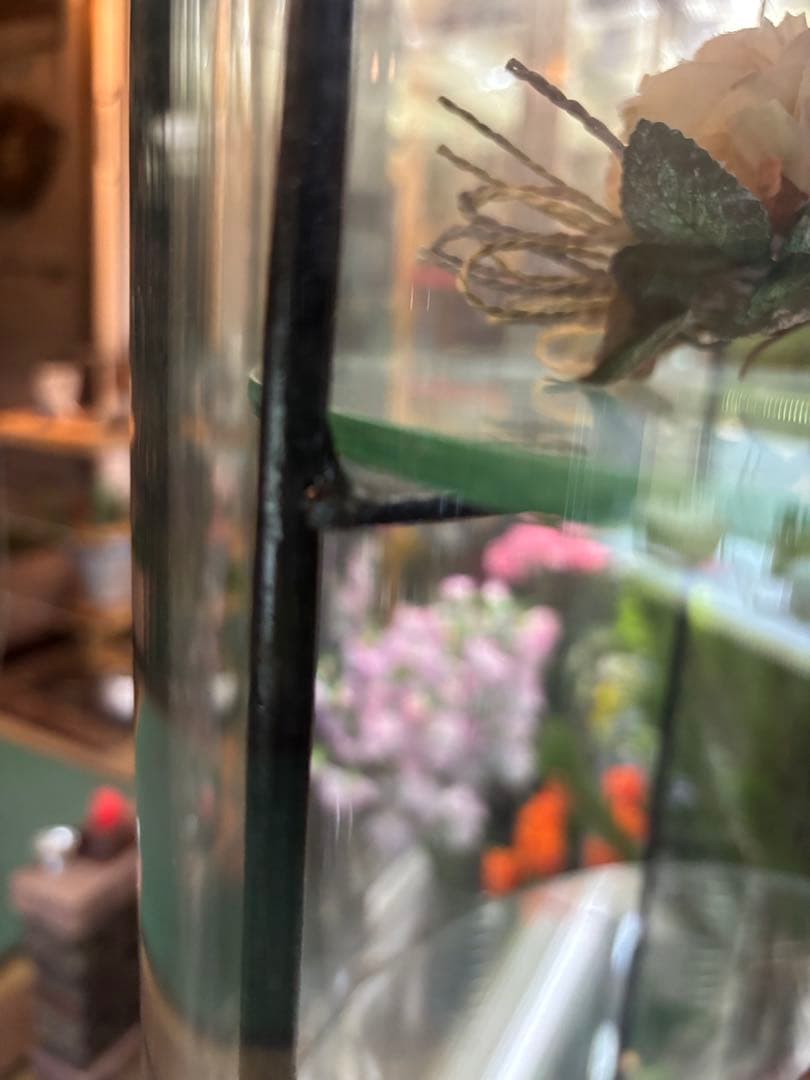 アンティーク調 半円形ガラスディスプレイケース