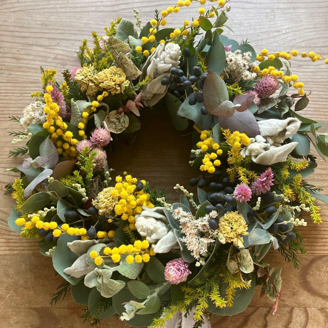 ミランドール産ミモザとピンク千日紅のリース　ラムズイヤー　ユーカリ　春待ち