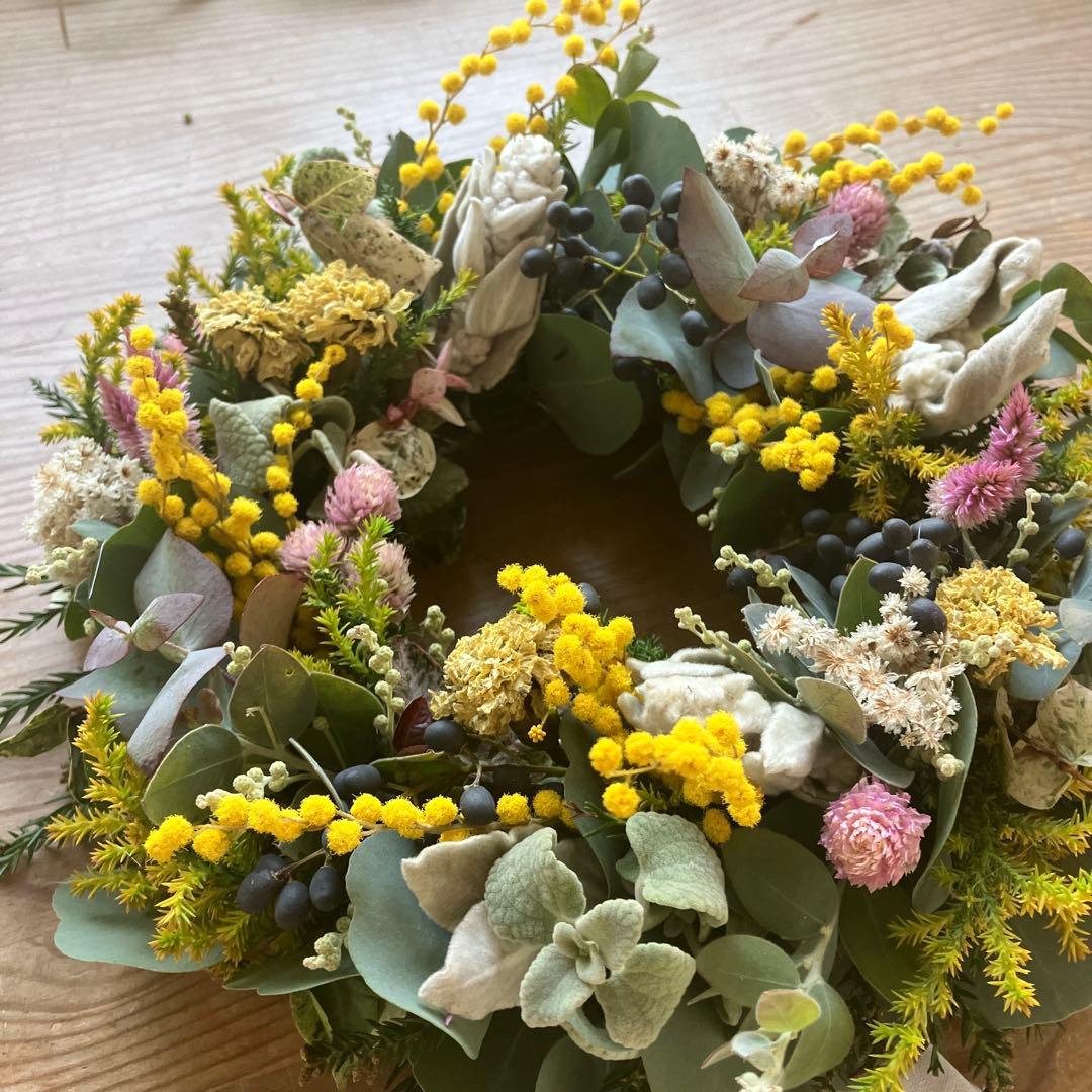 ミランドール産ミモザとピンク千日紅のリース　ラムズイヤー　ユーカリ　春待ち