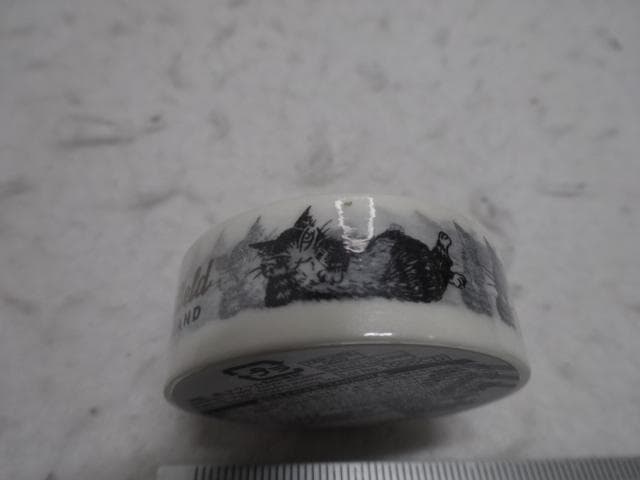 専用　マスキングテープ　うでぐみ　ほおづえ　ホワイト　わちふぃーるど　ダヤン　猫