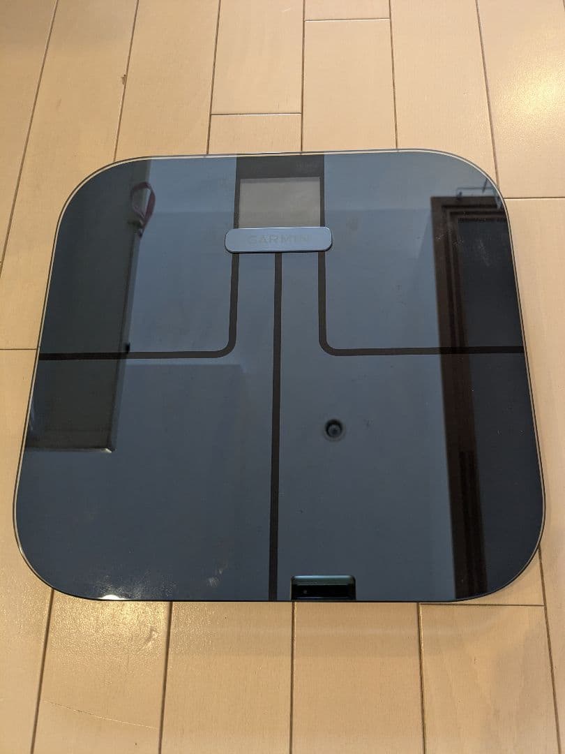 GARMIN INDEX S2 ブラック