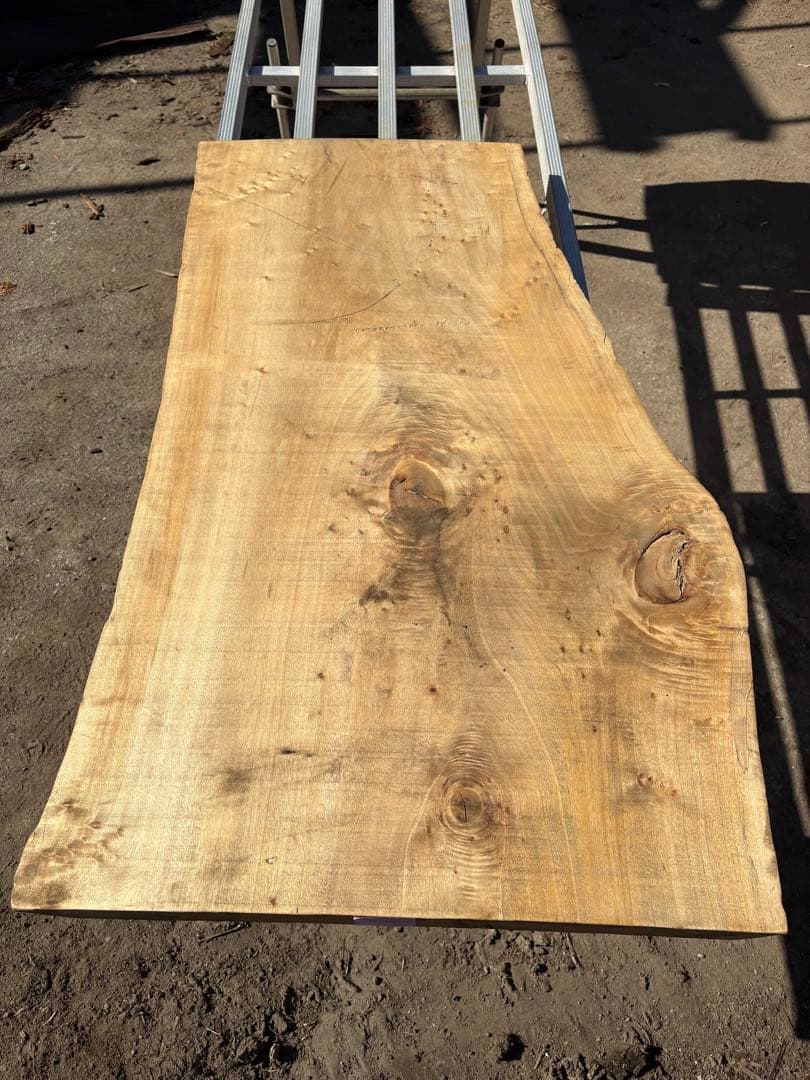 天板　無垢材 ポプラ　1枚板　サイドテーブル　天然木