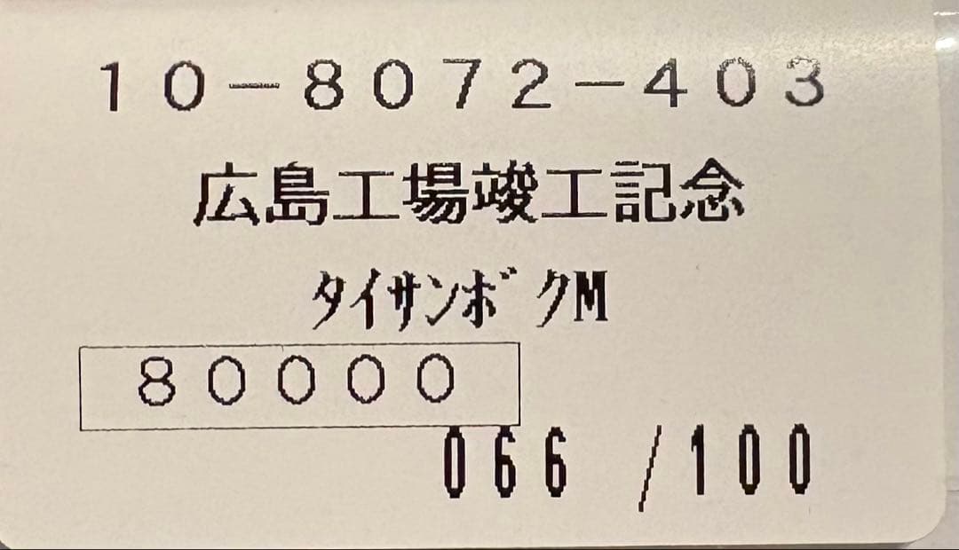 【定価・新品】広島工場竣工記念万年筆 タイサンボクM字　100本限定品✨
