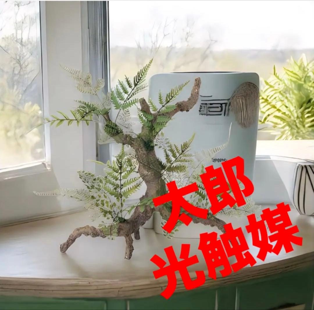 光触媒　人工観葉植物　ウォールグリーン　ミックスファンスタンプウッド