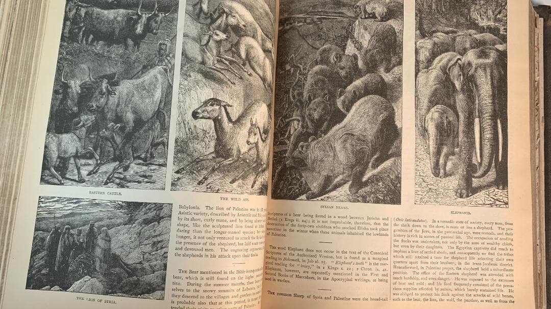 ヴィンテージの聖書◆『Holy Bible』◆