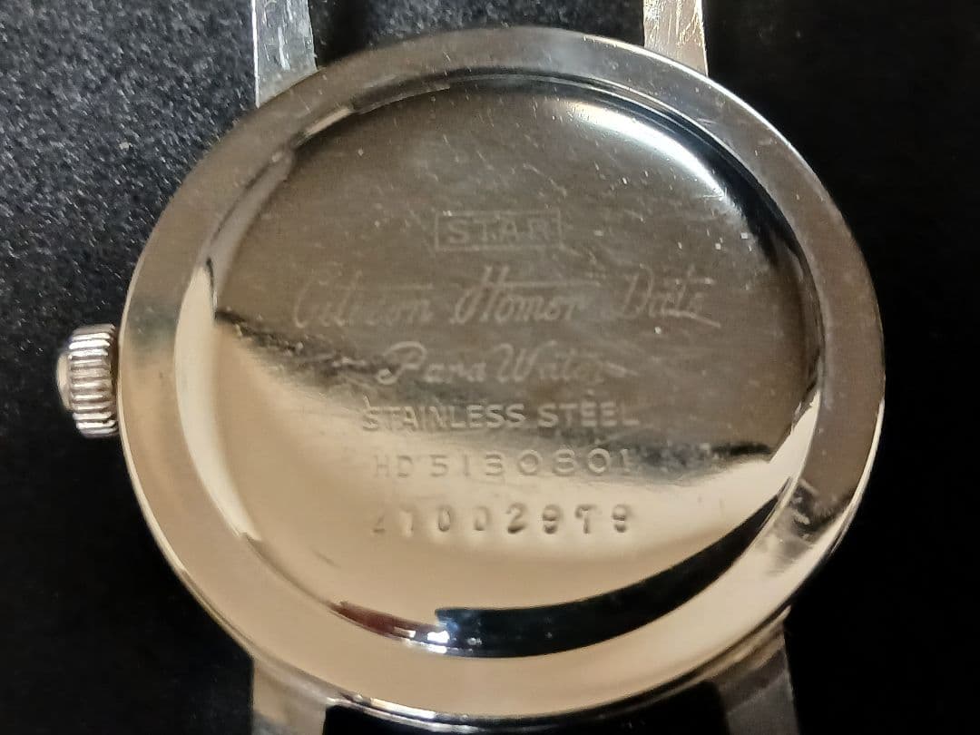 ★ポトス20　　ホーマーデイト21石パラウォーター