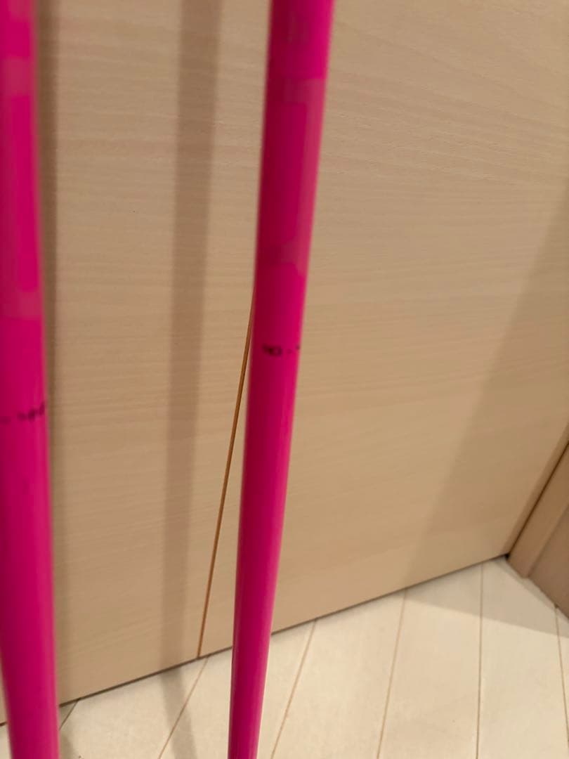 LEKI SL スキーストック 110cm